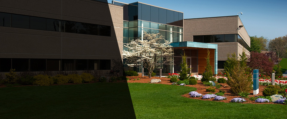 Line Lexington Landscapers