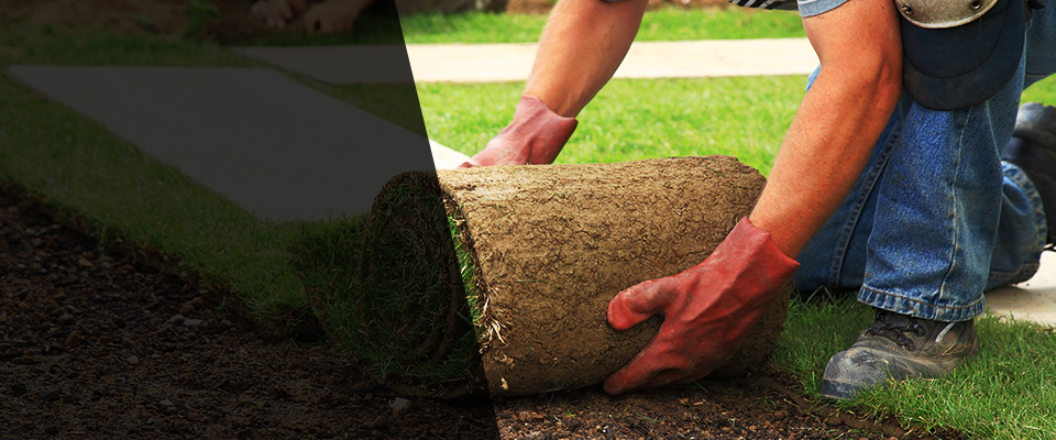 Line Lexington Landscapers